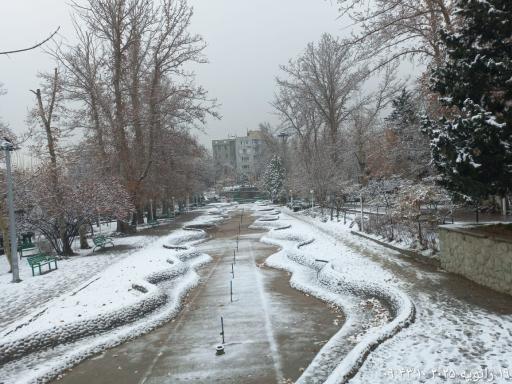 عکس بوستان صدف