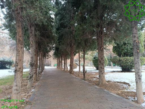 عکس بوستان صدف