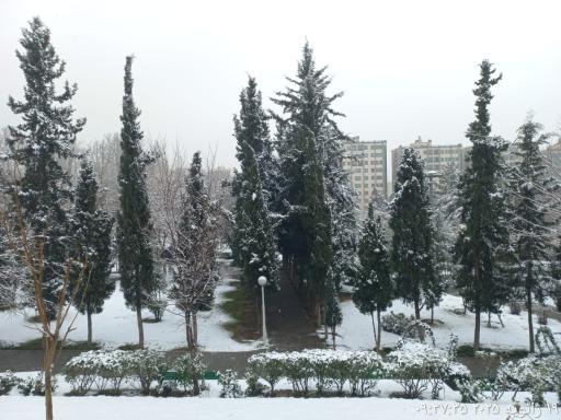 عکس بوستان صدف