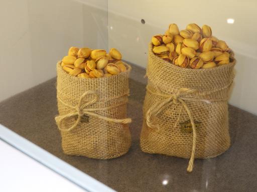 عکس آرنیکا کیان توس