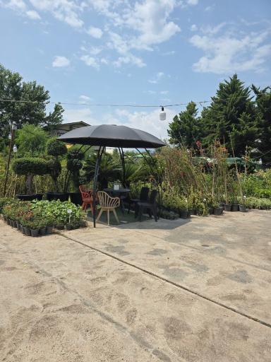 عکس مبلمان باغی یاس