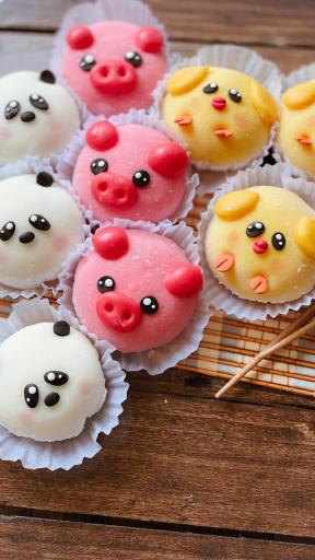 عکس بالی سوشی