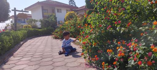 عکس مجتمع تفریحی گهرباران دانشگاه علوم پزشکی مشهد