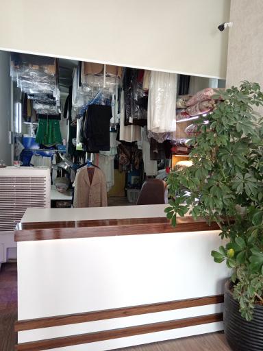 عکس خشکشویی محمد 