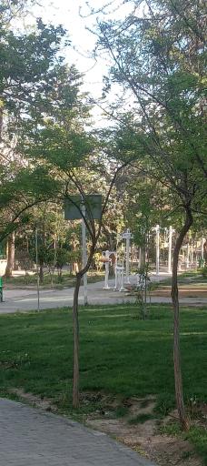 عکس بوستان صدف