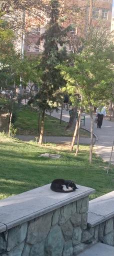 عکس بوستان صدف