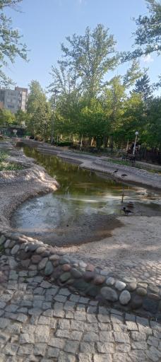 عکس بوستان صدف