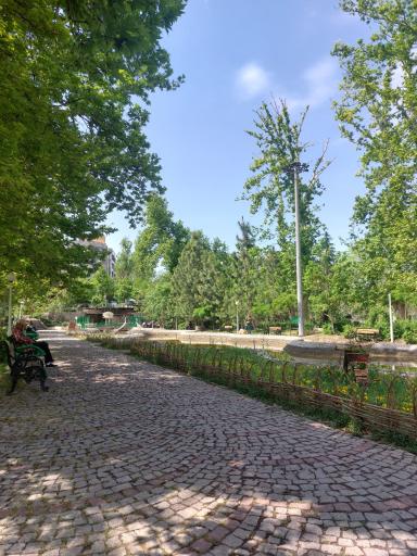 عکس بوستان صدف
