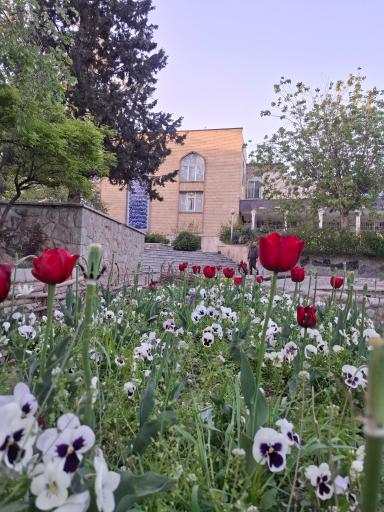 عکس بوستان صدف