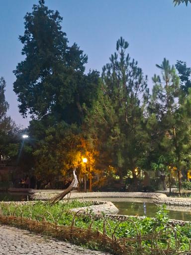 عکس بوستان صدف