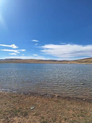 عکس رازقان