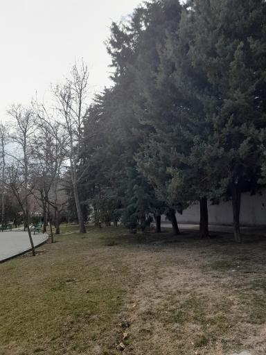 عکس بوستان صدف