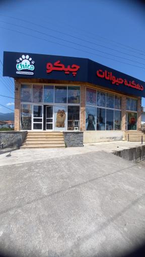 عکس پت شاپ چیکو