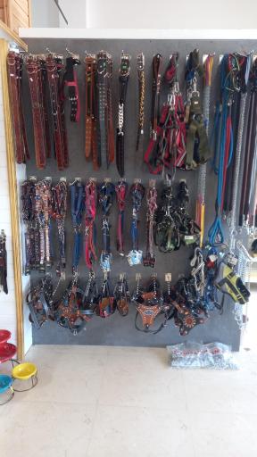 عکس پت شاپ چیکو