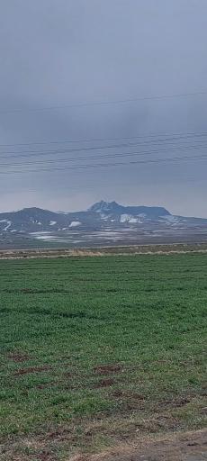 عکس کامیاران