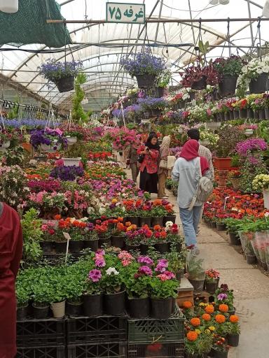 عکس بازار مرکزی گل و گیاه شهرداری اصفهان (همدانیان)