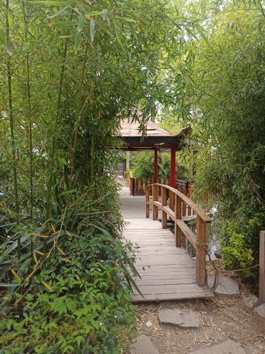 عکس بازار مرکزی گل و گیاه شهرداری اصفهان (همدانیان)