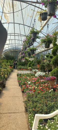 بازار مرکزی گل و گیاه شهرداری اصفهان (همدانیان)