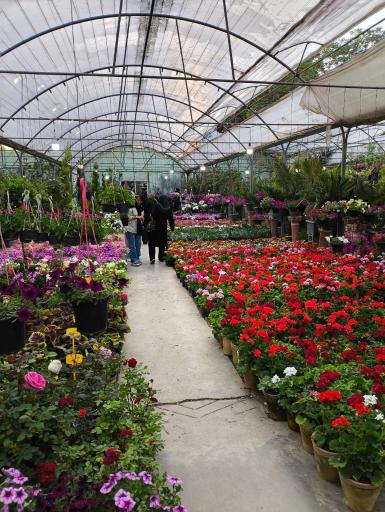 عکس بازار مرکزی گل و گیاه شهرداری اصفهان (همدانیان)