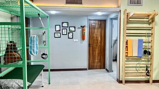 عکس فیزیوتراپی حامی گلبهار