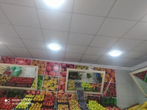 عکس سوپر میوه چیکو