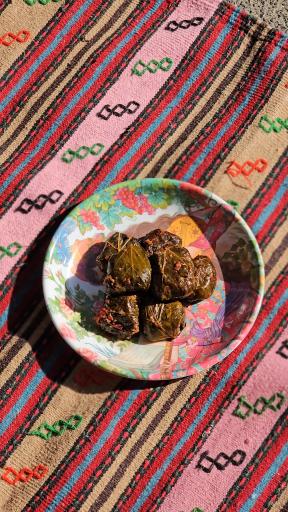 عکس غذای خونگی خانباجی