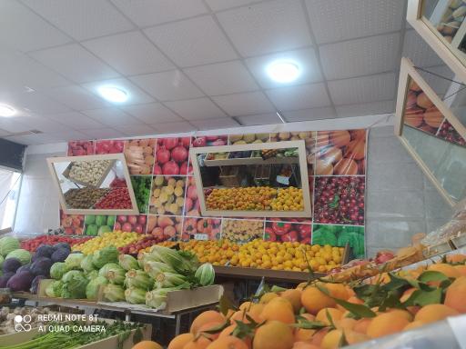 عکس سوپر میوه چیکو