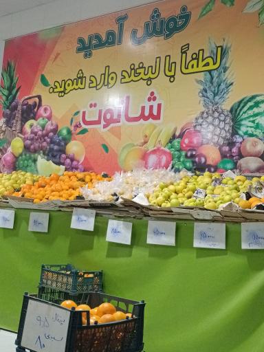 عکس میوه سرای شاتوت
