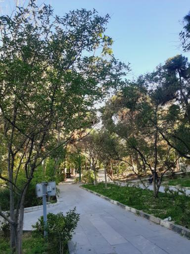 عکس بوستان شریعتی