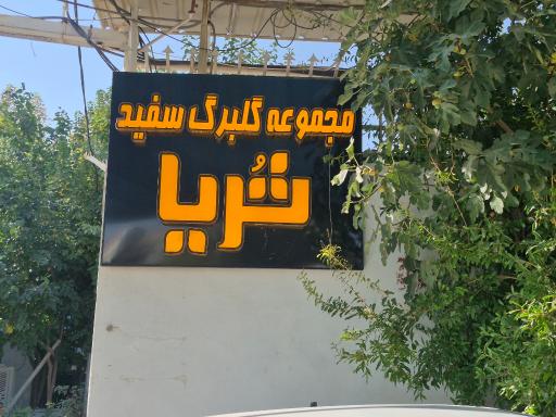 عکس کافه و باغ رستوران ثریا