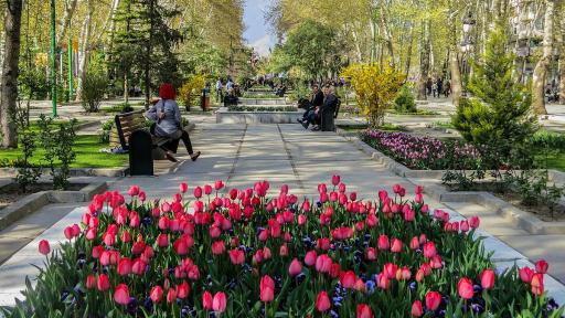 عکس بوستان شریعتی (کوروش)