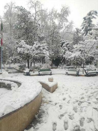 عکس بوستان شریعتی