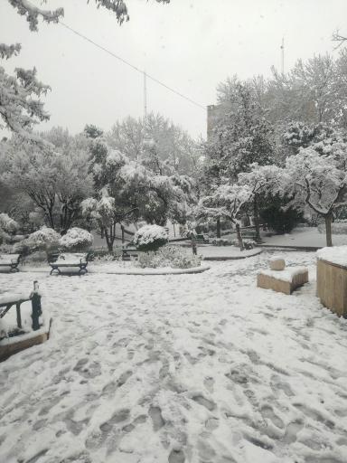 عکس بوستان شریعتی