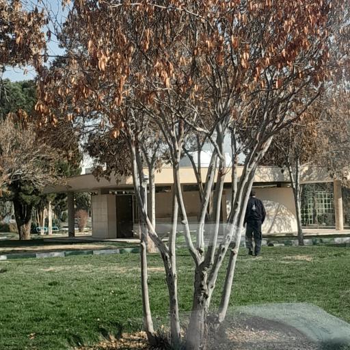 عکس سرویس بهداشتی پارک فرهنگسرای اشراق