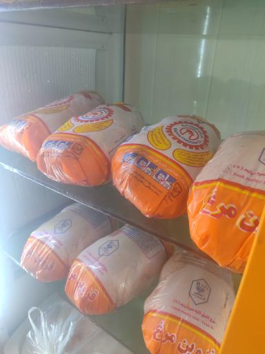 عکس پروتئینی حسینی