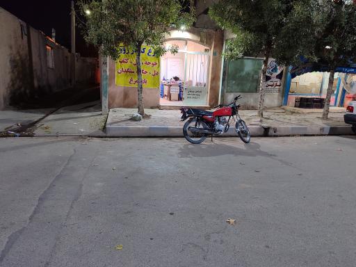 عکس پروتئینی حسینی