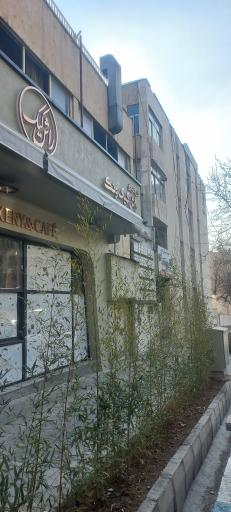 عکس قنادی راش کیک