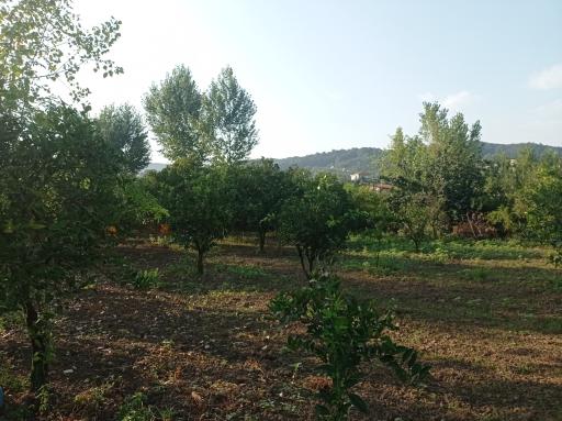 عکس اقامتگاه کیمه