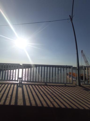 عکس پل آزادی