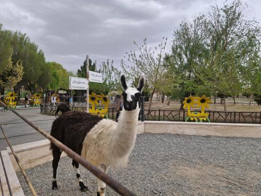 عکس باغ وحش صفادشت