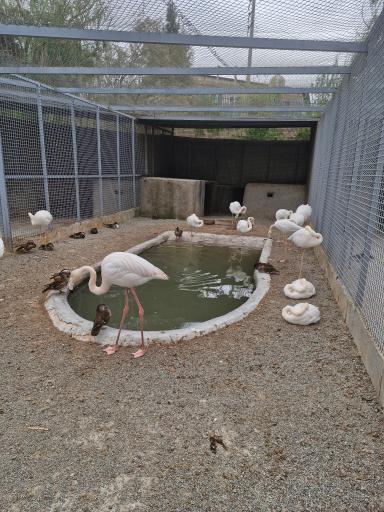 عکس باغ وحش صفادشت