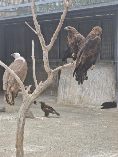 عکس باغ وحش صفادشت