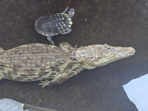 عکس باغ وحش صفادشت