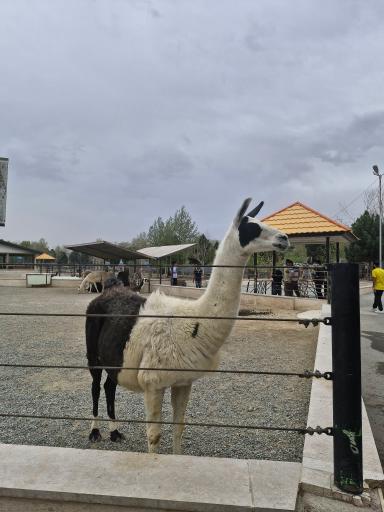 عکس باغ وحش صفادشت