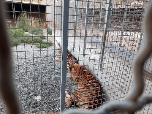 عکس باغ وحش صفادشت