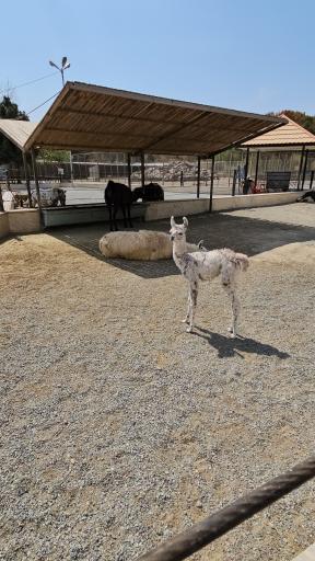 عکس باغ وحش صفادشت