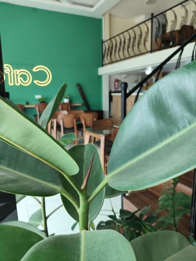 عکس کافه دی 