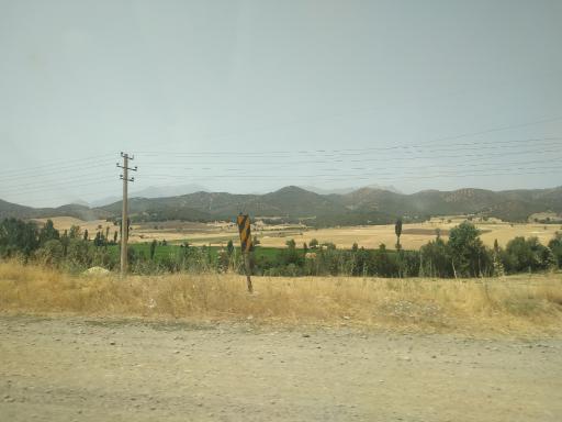 عکس دشت بیلو