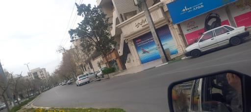 عکس همراهان دیرینه