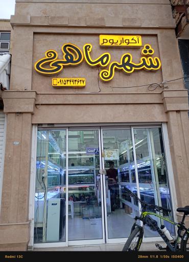 عکس آکواریوم شهر ماهی 